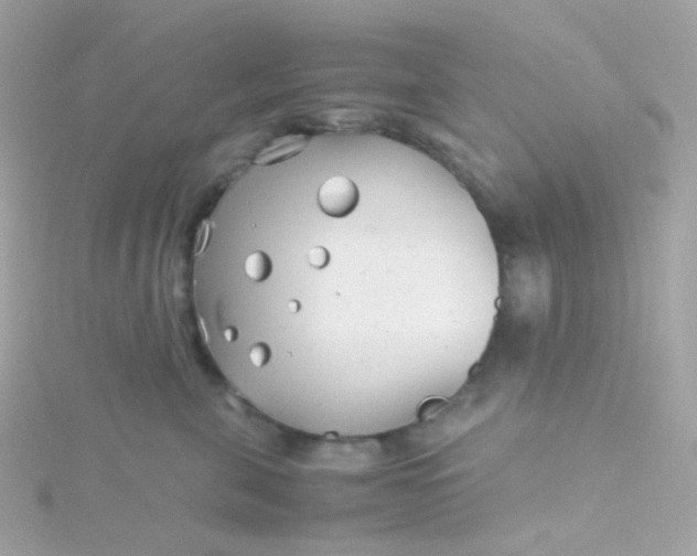 X0000115680571200911251754