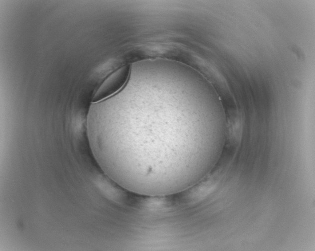 X0000115680574200911251754