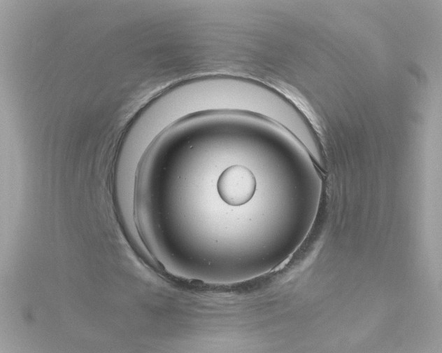 X0000115680577200911251754