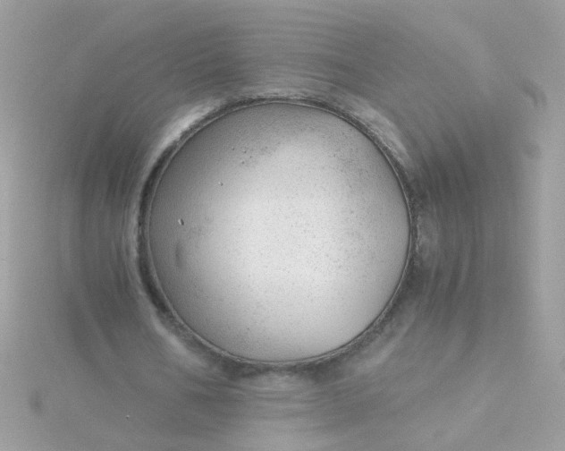 X0000115680578200911251754