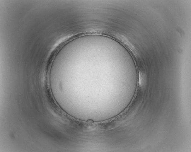 X0000115680579200911251754