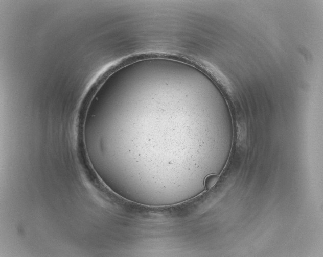 X0000115680580200911251754