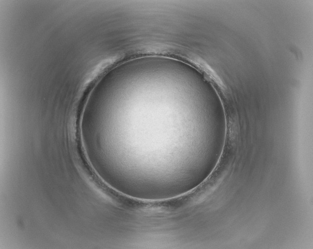 X0000115680581200911251754