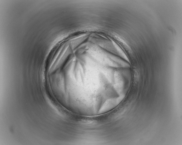 X0000115680582200911251754