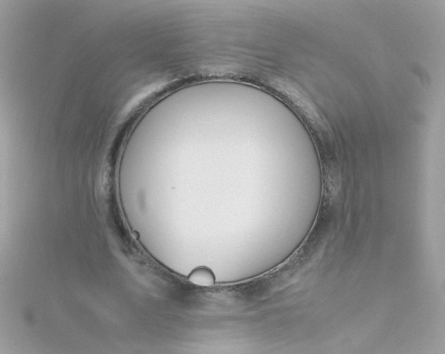 X0000115680583200911251754