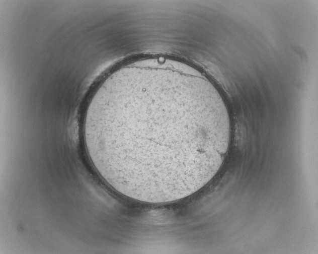 X0000115680584200911251754