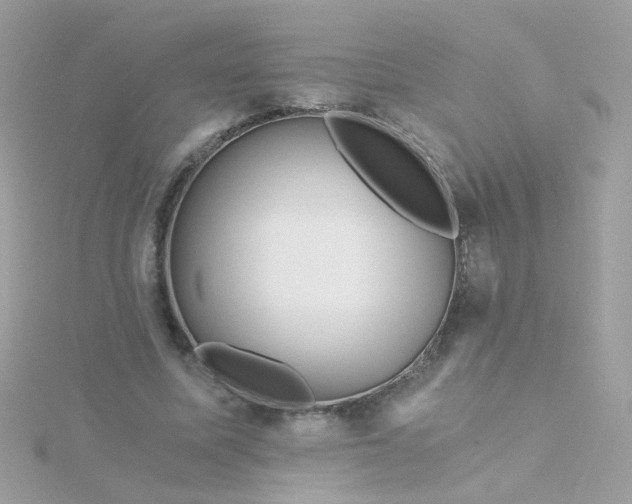 X0000115680587200911251753