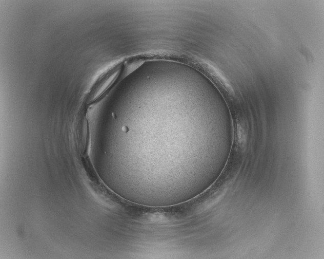 X0000115680588200911251753