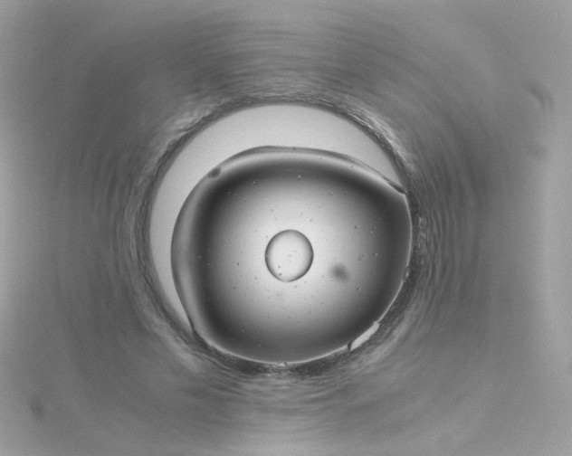 X0000115680589200911251753