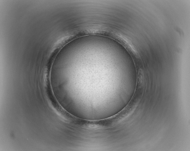 X0000115680590200911251753