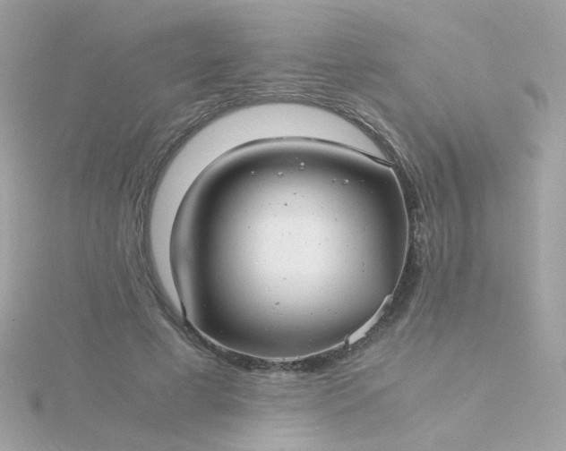 X0000115680593200911251753