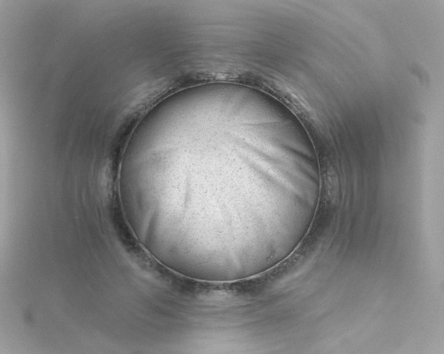 X0000115680594200911251753