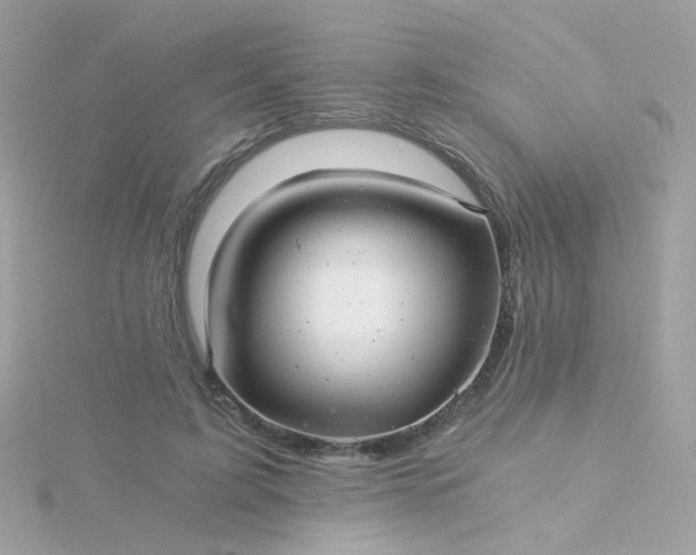 X0000115680595200911251753