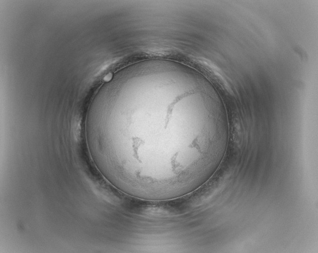 X0000115680596200911251753