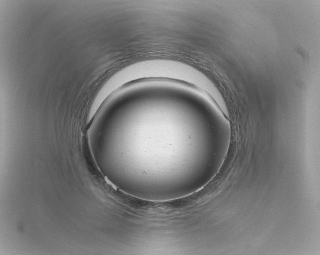 X0000115680599200911251753