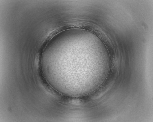 X0000115680600200911251753