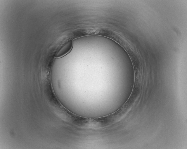 X0000115680601200911251753