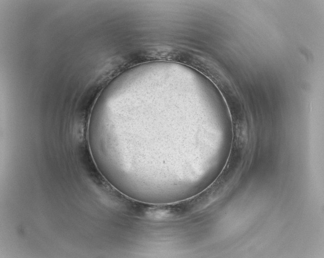 X0000115680602200911251753