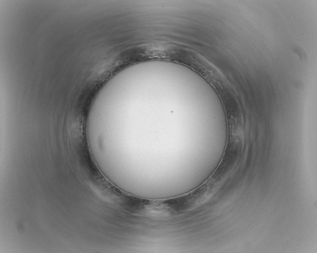 X0000115680603200911251753