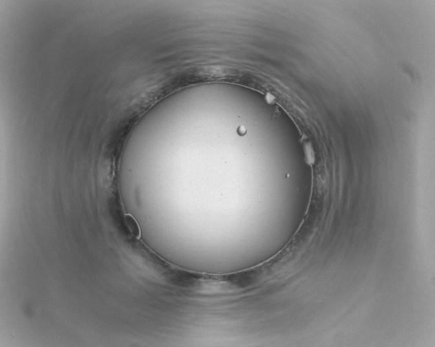 X0000115680605200911251753