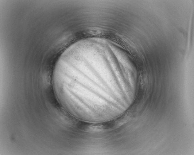 X0000115680606200911251753