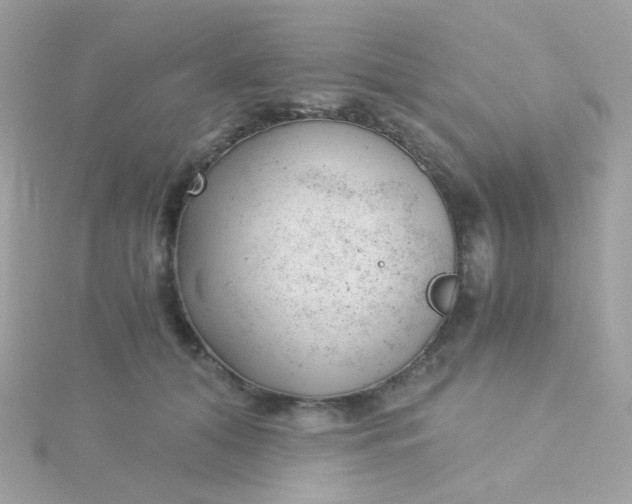 X0000115680608200911251753