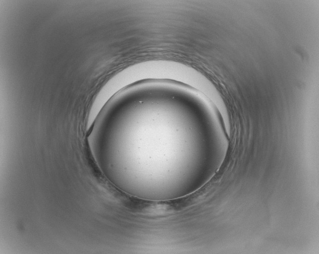 X0000115680609200911251753