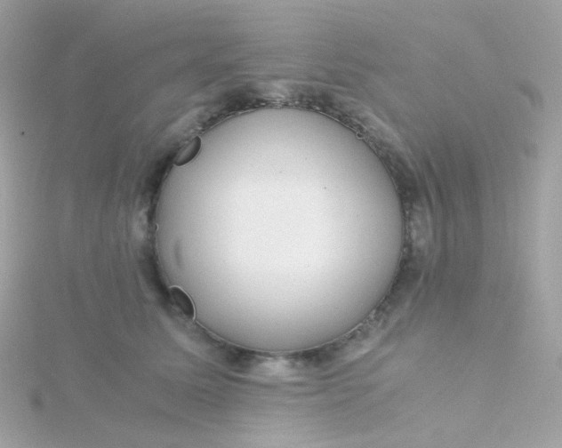 X0000115680611200911251753