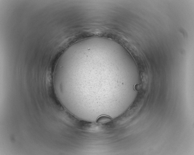 X0000115680612200911251753