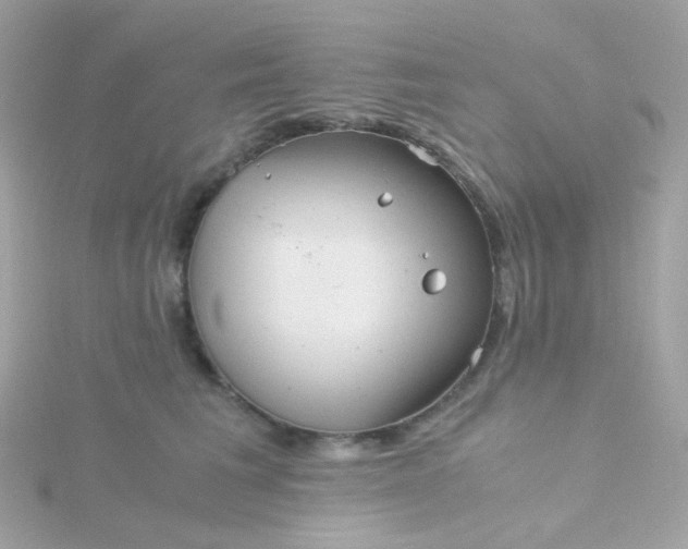 X0000115680613200911251753