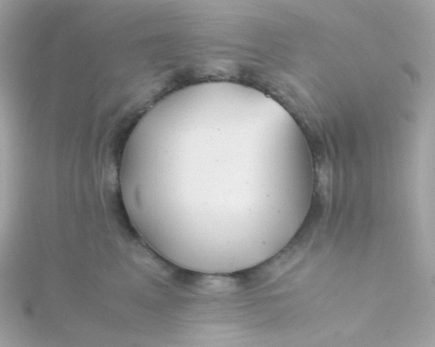 X0000115680617200911251753