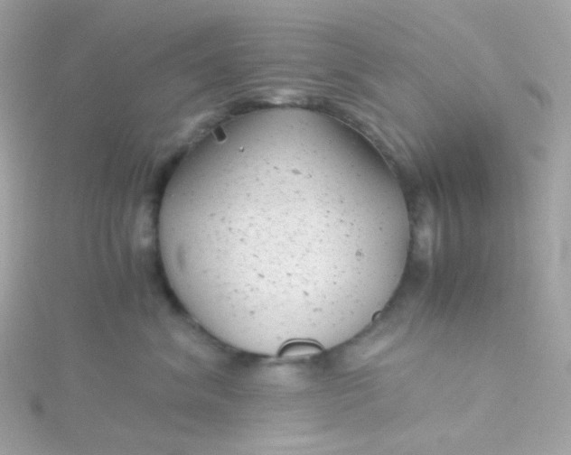 X0000115680620200911251753