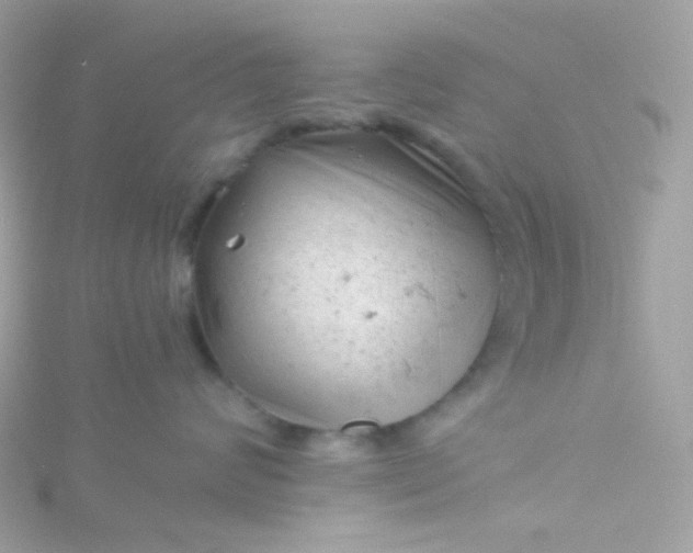 X0000115680624200911251753