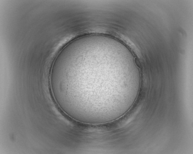 X0000115680625200911251752