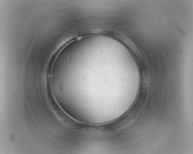 X0000115680626200911251752