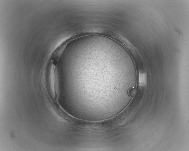 X0000115680627200911251752