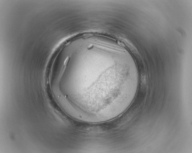 X0000115680628200911251752