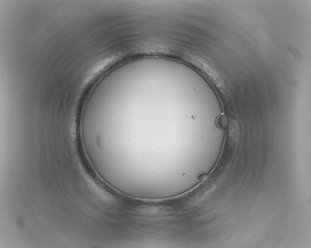 X0000115680629200911251752