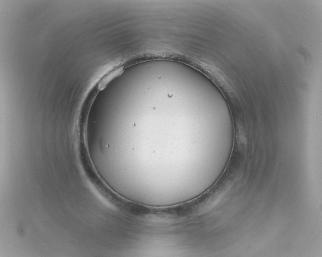 X0000115680630200911251752