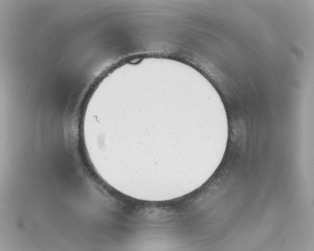 X0000115680632200911251753