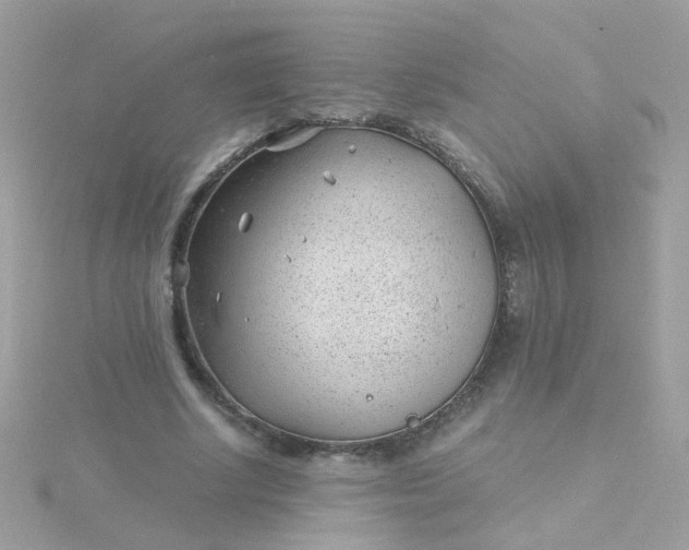 X0000115680634200911251753