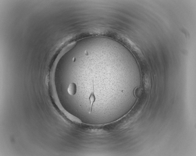 X0000115680637200911251753