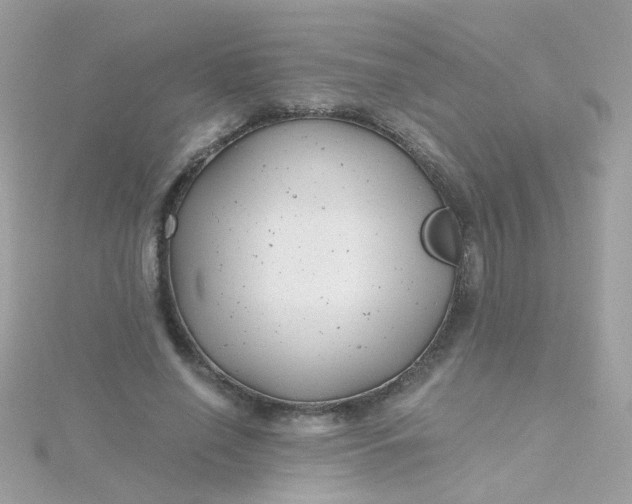 X0000115680638200911251753