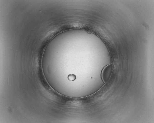 X0000115680639200911251753