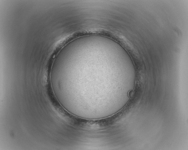 X0000115680640200911251753