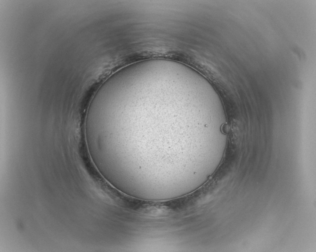 X0000115680642200911251753