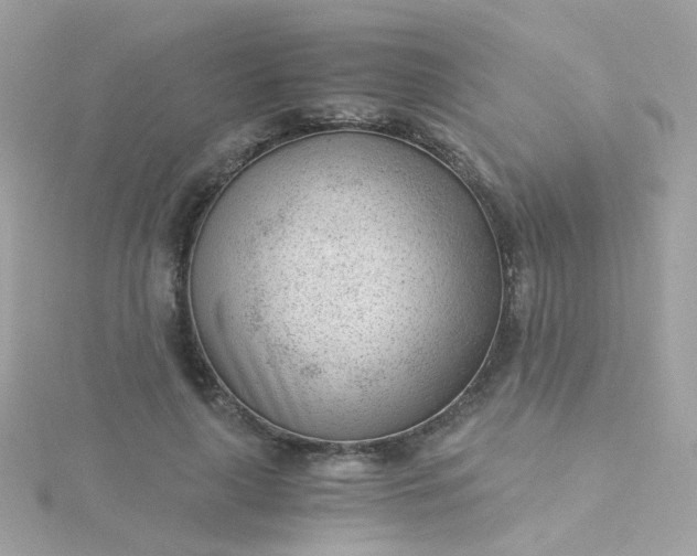 X0000115680643200911251753