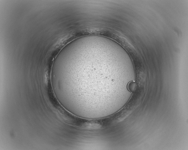 X0000115680644200911251753