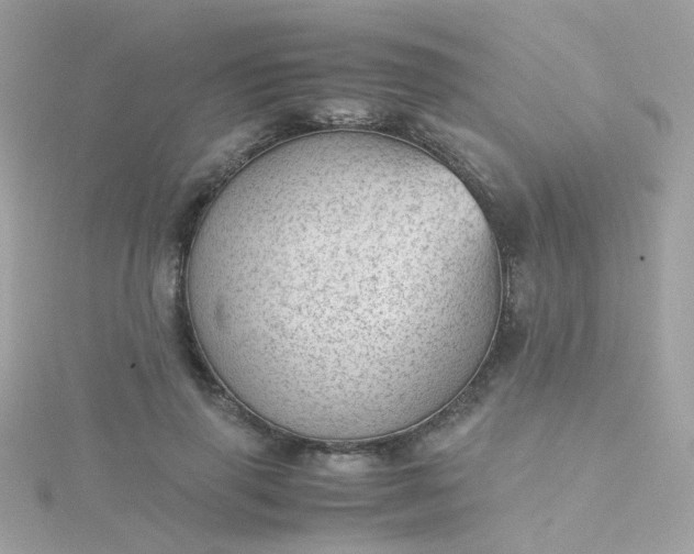 X0000115680645200911251753