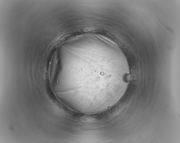 X0000115680648200911251753